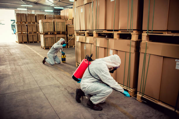 Reliable Lindale, GA Pest Control Solutions