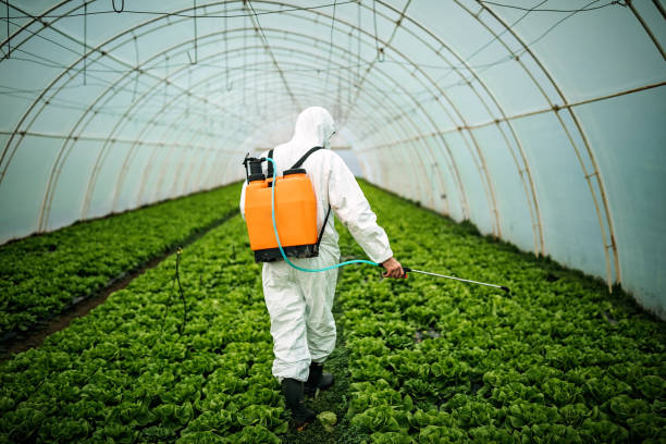 Pest Control for Restaurants in Lindale, GA