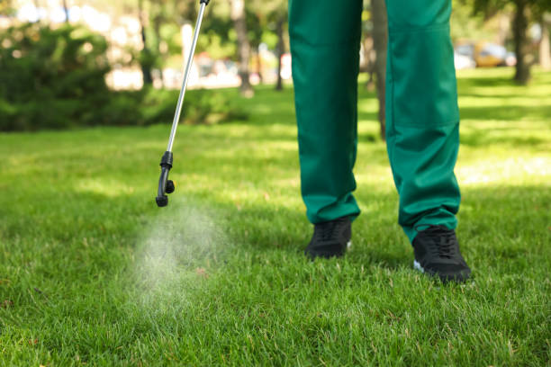 Best Emergency Pest Control  in Lindale, GA