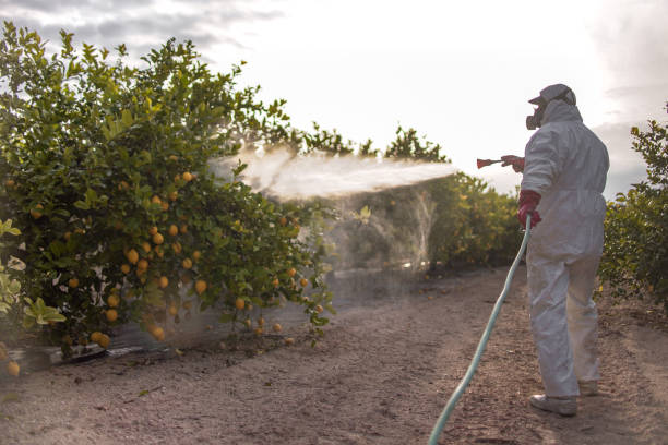 Best Mosquito Control Services  in Lindale, GA