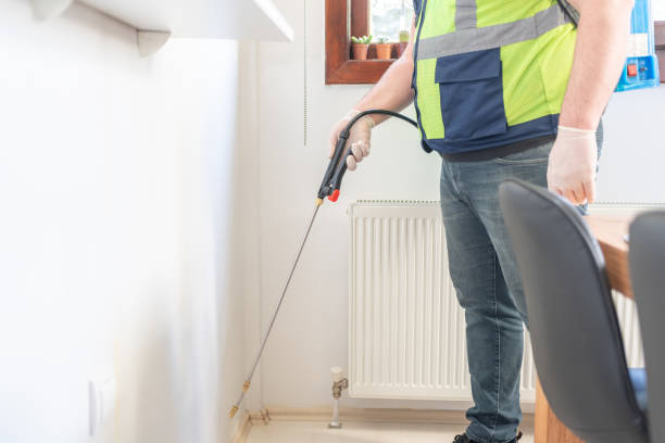 Wasp Removal Services in Lindale, GA