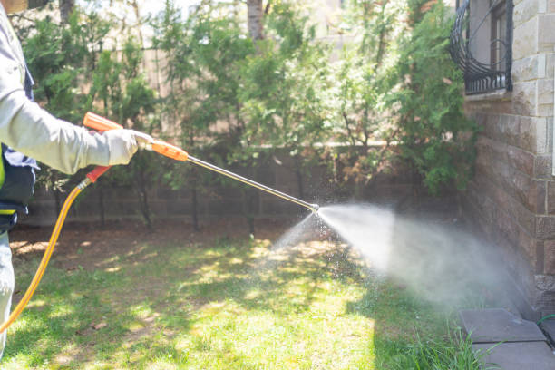 Best Spider Control Near Me  in Lindale, GA